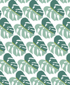 Plush Throw Blanket - monstera leaves