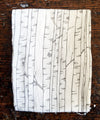 flower sack tea towel . birch trees©
